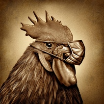 В Оренбургской области зафиксированы еще два очага птичьего гриппа