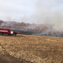 В Бузулукском районе полыхала сухая трава и лес