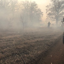 Очередной природный пожар под Бузулуком тушили около 12 часов