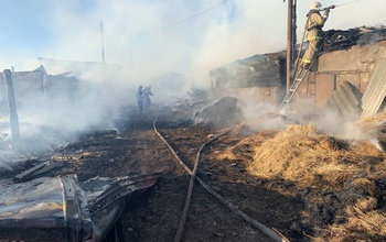 В Нижнесакмарском крупный пожар угрожал жилым домам