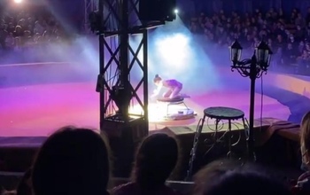 Оренбуржцы обсуждают столпотворение в цирке