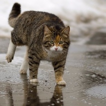 Зима близко: в Оренбургской области в ближайшие дни резко ухудшится погода
