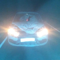 В районе Абдулино автоледи за рулем 