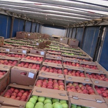 В Оренбуржье не допустили более 235 тонн продуктов из Казахстана и Киргизии