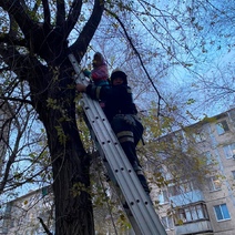 В Новотроицке сотрудникам МЧС пришлось снимать c дерева девочку