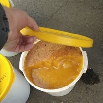 Из Оренбуржья в Казахстан не допустили к вывозу говядину, рыбу, сыр и мед