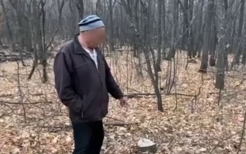В Оренбуржье поймали очередного дровосека с деревом в 