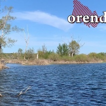 МЧС Оренбуржья: основная причина смертей на воде - купание в пьяном виде