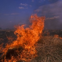 В Оренбуржье отменяется особый противопожарный режим