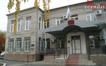 Недостойна наследства: в Гае женщина планировала лишить квартиры родственницу