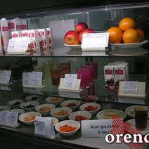 В Оренбуржье ученикам начальных классов в рацион добавят фрукты, соки и йогурты