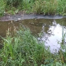 В Гае очистные сооружения работали с нарушениями