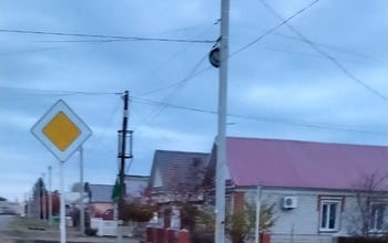 В Саракташе местный житель держит в страхе целый квартал