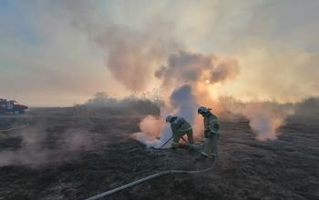 В Оренбургской области пожарные тушат горящие торфяники