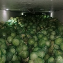 К ввозу в Оренбуржье не допустили капусту, рис, помело, перец, хурму и сухофрукты