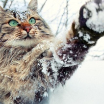 Морозы до минус 20: на Оренбургскую область надвигается циклонический вихрь