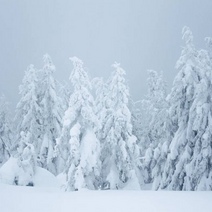 В Оренбуржье в чистом поле найден замерзший потерявшийся подросток