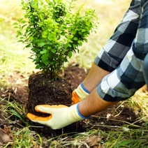 В Оренбуржье выявлен факт мошенничества при благоустройстве территории