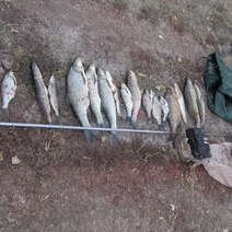 В Саракташском районе задержаны два браконьера