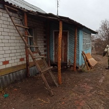 В Соль-Илецке мужчина спилил две сосны, чтобы построить навес к дому