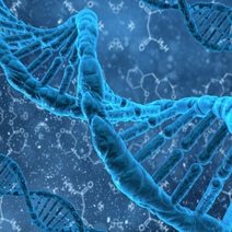 Преступника из Оренбургской области вычислили по ДНК