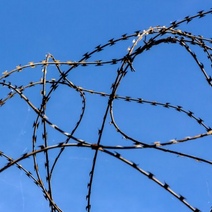 Оренбуржец 