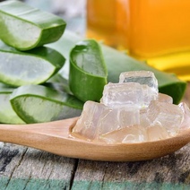 Врач советует оренбуржцам принимать сок алоэ для реабилитации после COVID-19