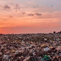 В Оренбуржье свалка с 25-миллионным ущербом вылилась в уголовное дело