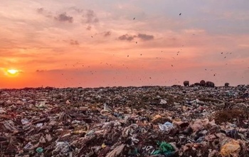 В Оренбуржье свалка с 25-миллионным ущербом вылилась в уголовное дело