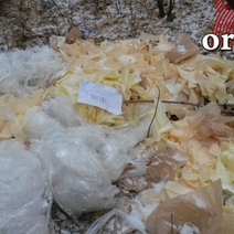 В районе cтарицы Урала оренбуржцы наткнулись на гору мусора