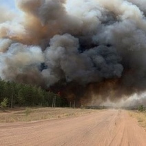 Самарской области выделили деньги на ликвидацию последствий пожара в Бузулукском бору
