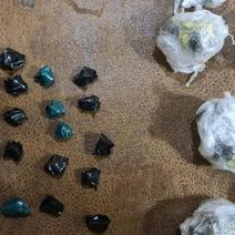 В Оренбургской области задержаны две молодые студентки-наркокурьеры