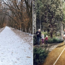 Благоустройство лесополосы на Березке вылилось в «административку»