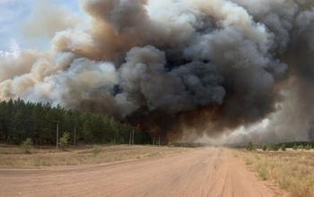 Самарской области выделили деньги на ликвидацию последствий пожара в Бузулукском бору