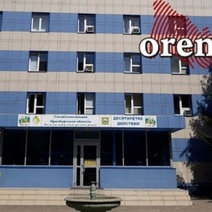 В Оренбурге студентка явилась в ГИБДД с поддельным экзаменационным листом