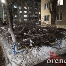 В Оренбурге почти две недели не убирают ветви от спиленных деревьев
