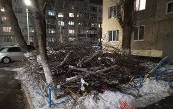В Оренбурге почти две недели не убирают ветви от спиленных деревьев