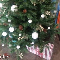 Губернаторской елки не будет, а подарки получат только большие семьи