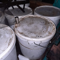 В Оренбуржье не допустили рыбу и мед и Казахстана