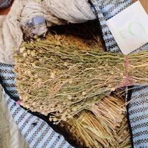 В Оренбуржье задержан мужчина с 64 килограммами запрещенной травы