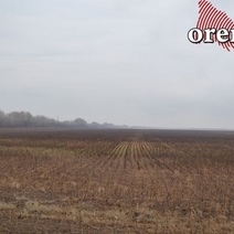 В Оренбургской области чиновники незаконно предоставили в аренду земельные участки