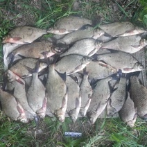 Горе-рыбак из Новотроицка выслушал приговор суда