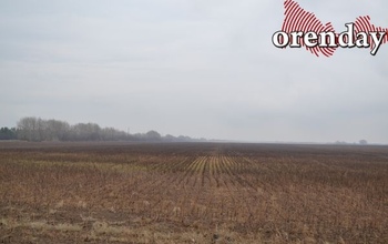 В Оренбургской области чиновники незаконно предоставили в аренду земельные участки