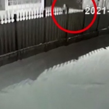 В Орске по подозрению в убийстве 38-летнего мужчины задержаны подростки (18+)