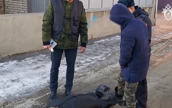 В Орске молодые фигуранты дела об убийстве из-за двух бутылок алкоголя отправлены под стражу (18+)