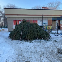 За несколько часов до Нового года елочные базары в Оренбурге начали закрываться