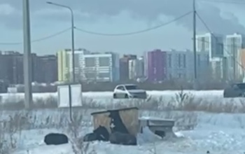 В Степном посёлке по соседству с жилыми домами поселилась стая бродячих собак