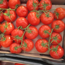 С начала 2022 года в Оренбуржье запрещен ввоз 113 тонн продуктов