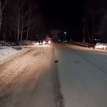 В Шарлыкском районе при обгоне в кювет слетела 