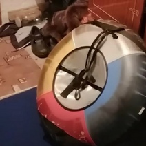 Под Соль-Илецком подросток выпал из привязанного к машине тюбинга и влетел в дерево